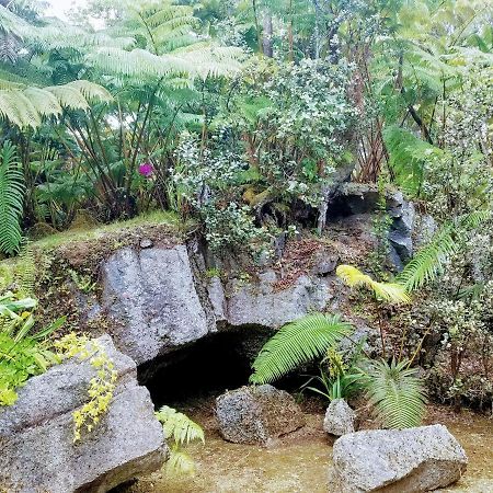 'Ama'U Lani Cottage Volcano Exterior photo