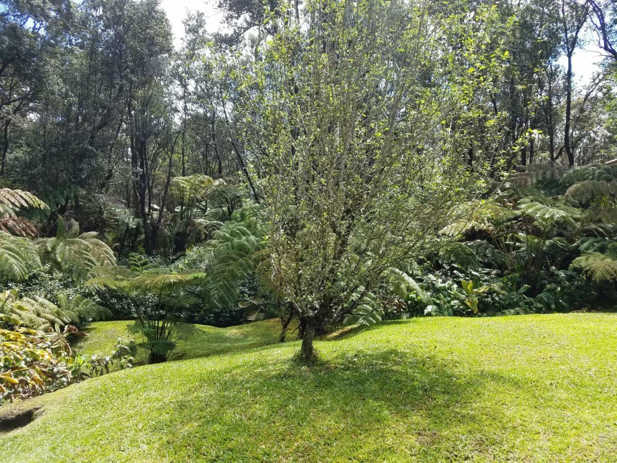 'Ama'U Lani Cottage Volcano Exterior photo