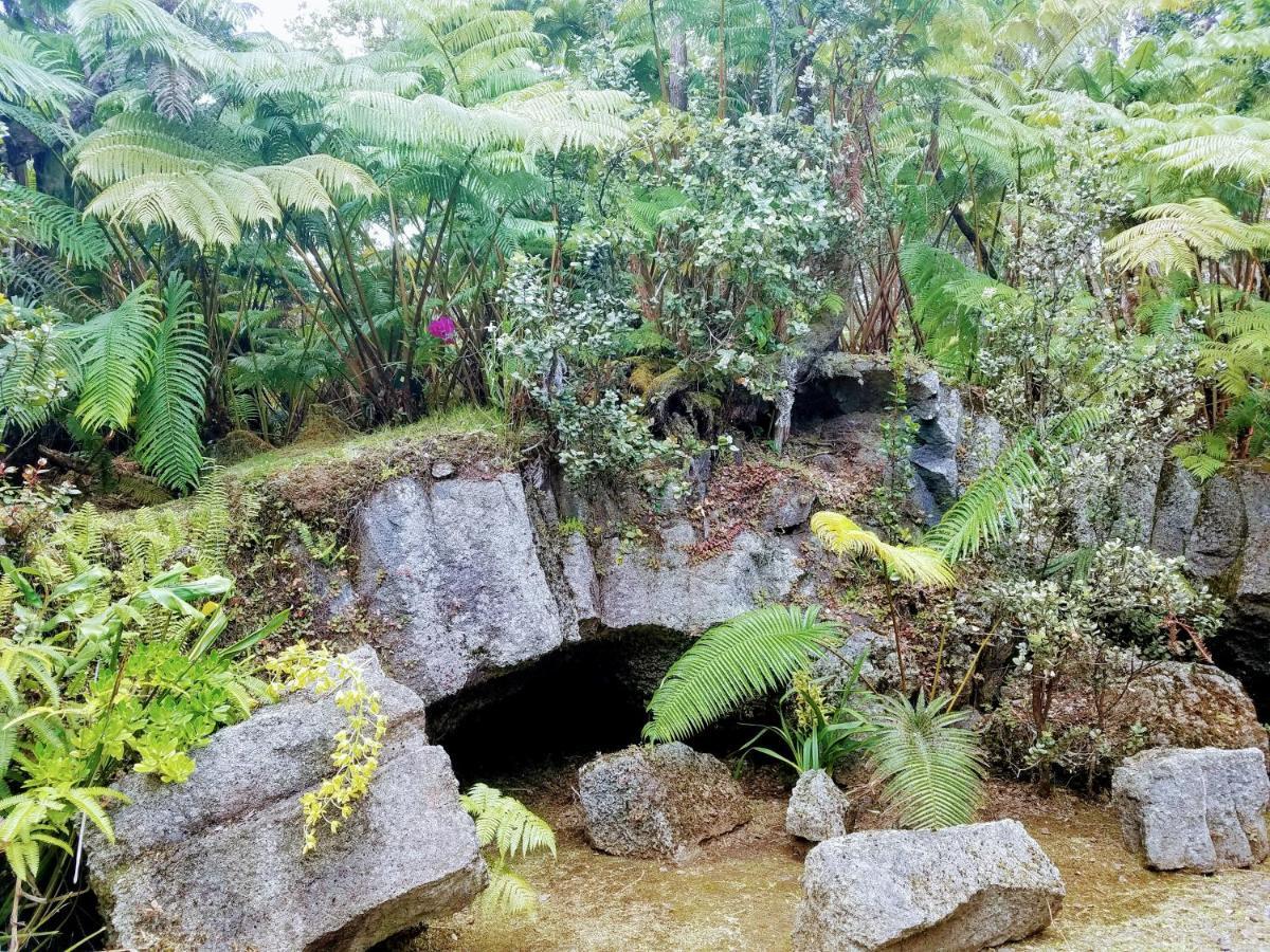 'Ama'U Lani Cottage Volcano Exterior photo